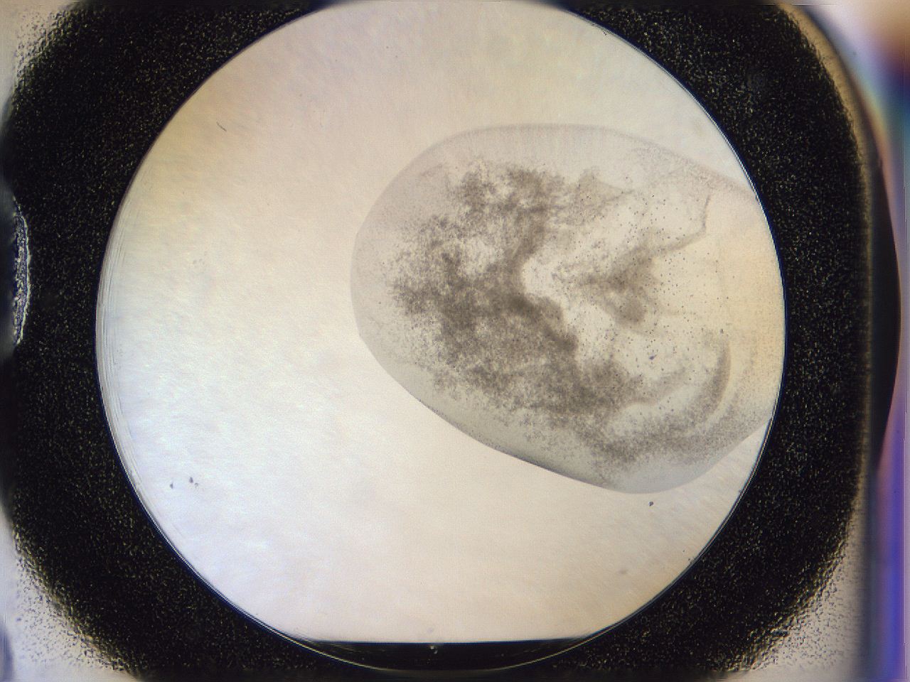 056j_D3_ImagerDefaults_3.jpg