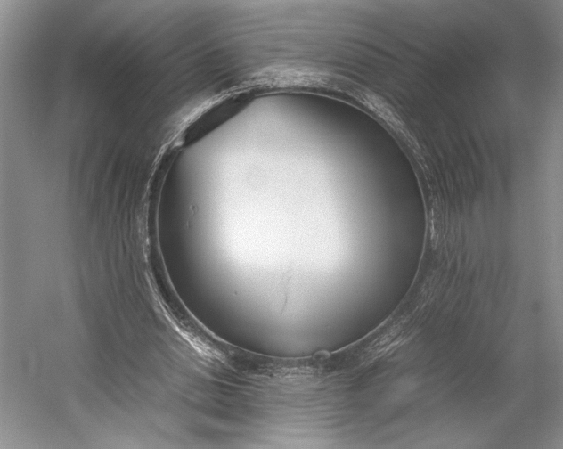 X0000055060438200508161650.png