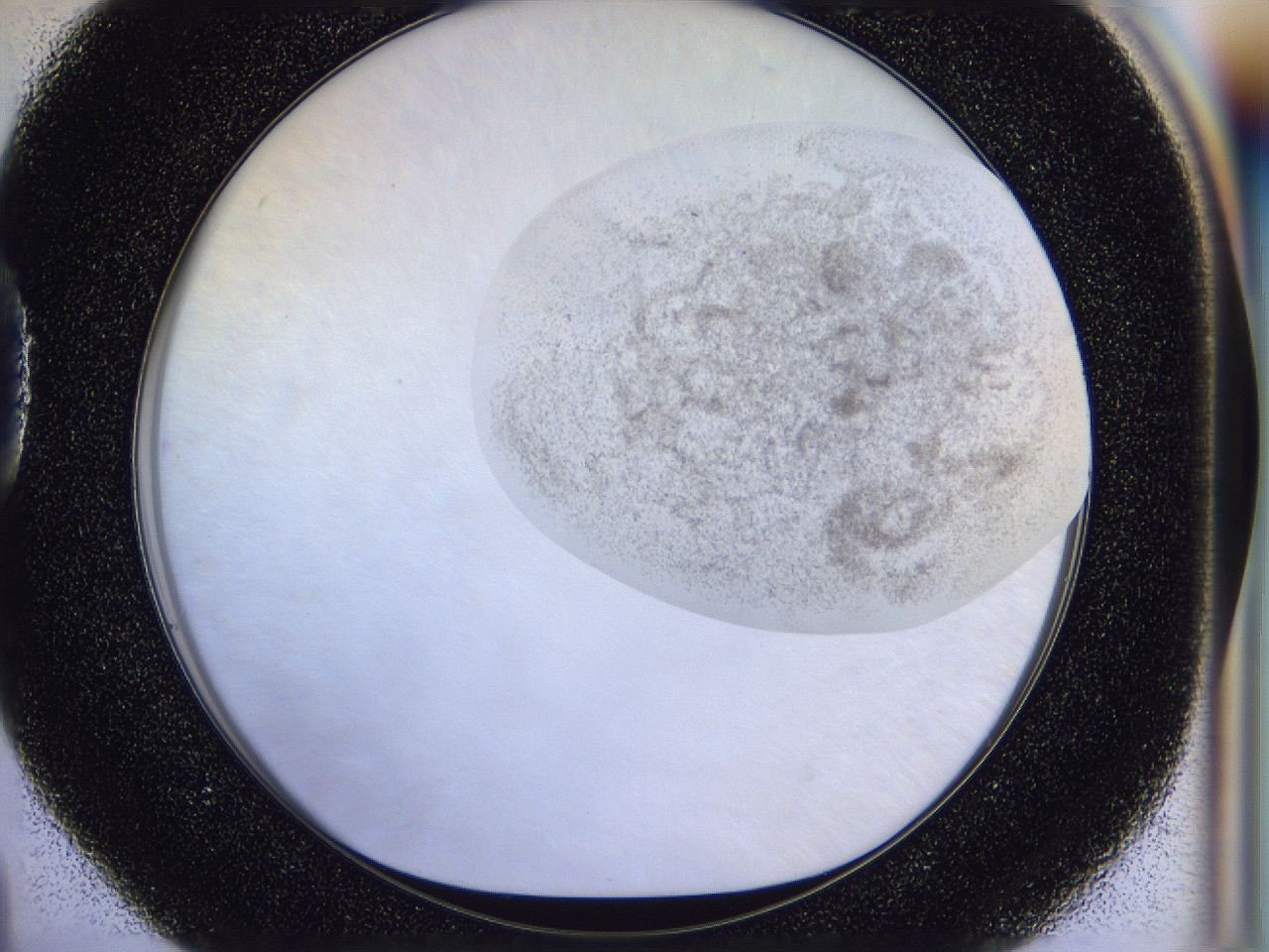 056j_D4_ImagerDefaults_3.jpg