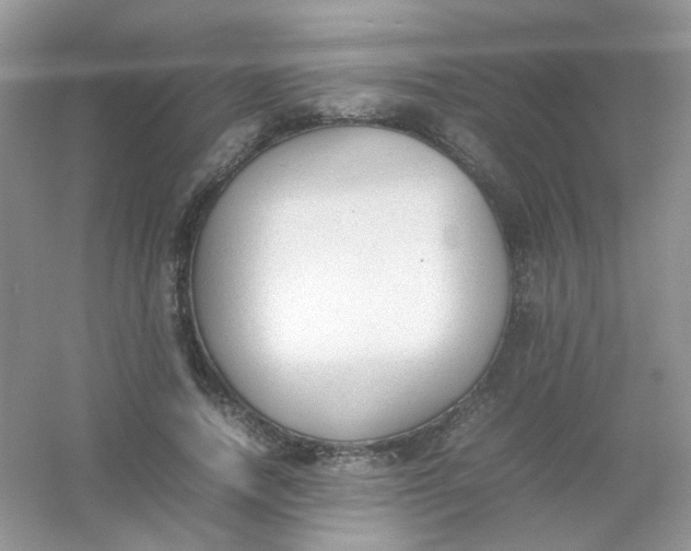 X0000054330738200508111918.png
