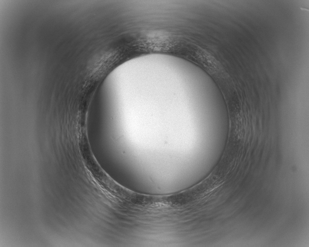 X0000055060594200508161648.png