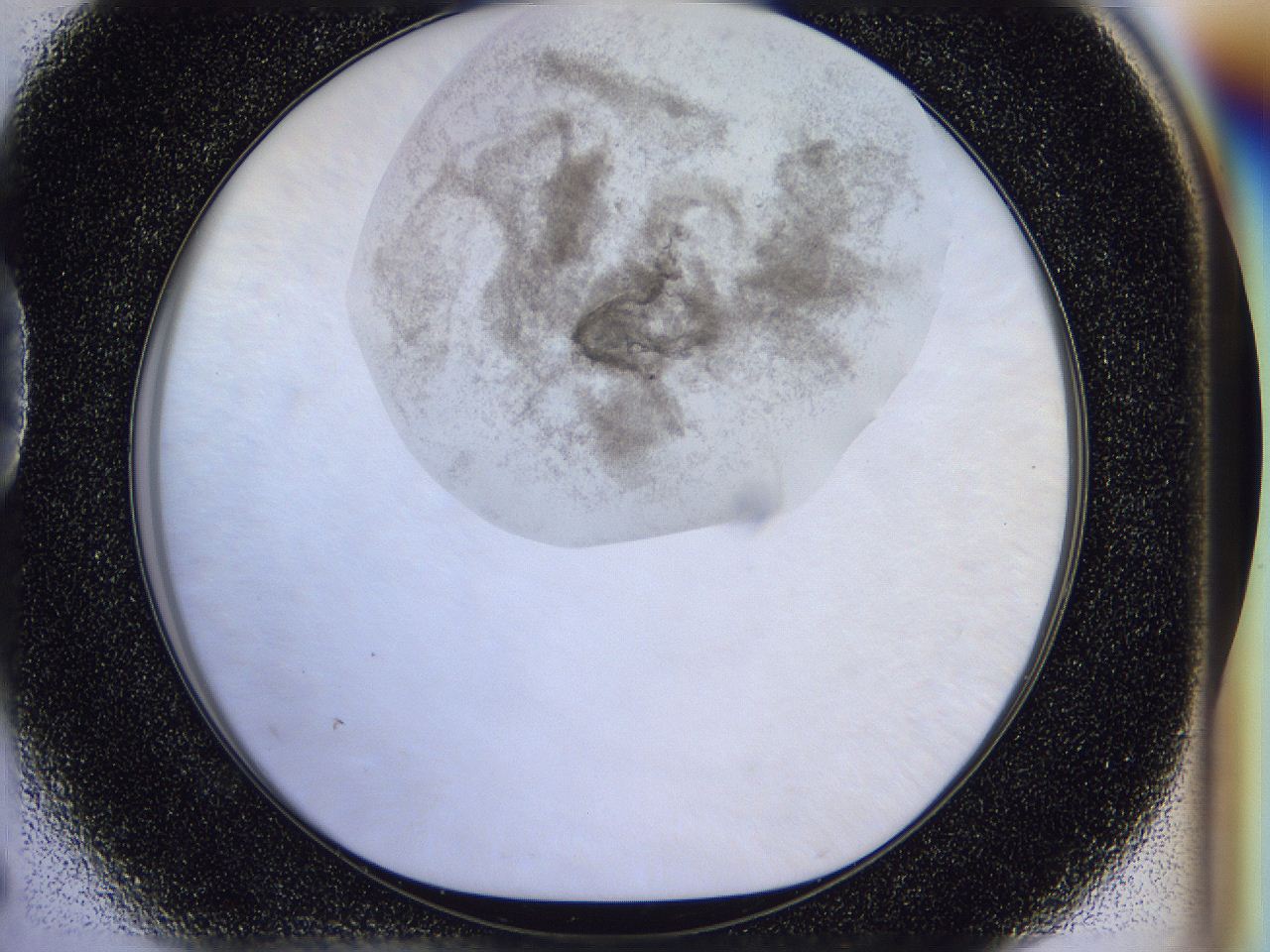 056j_D5_ImagerDefaults_3.jpg