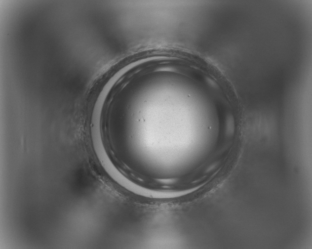 X0000054970922200509051500.png