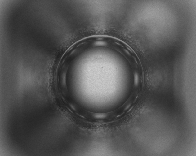 X0000047470593200503091601.png