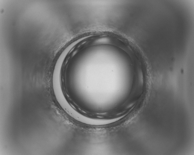 X0000052120833200507262049.png