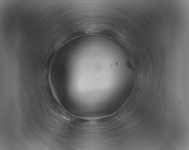 X0000055210219200508301330.png