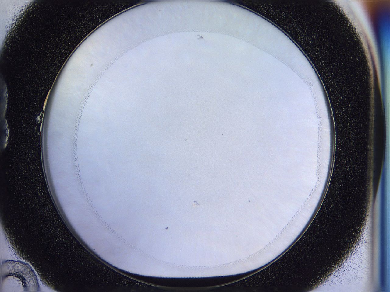 056j_B10_ImagerDefaults_0.jpg