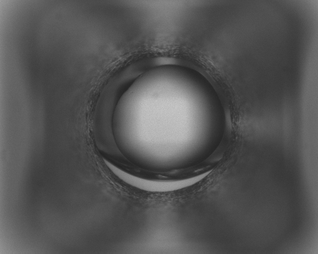 X0000040560817200411021426.png