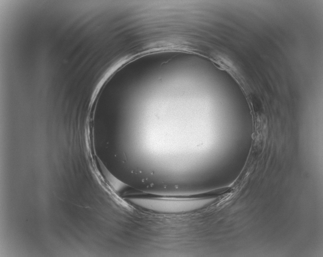 X0000055060812200508161644.png