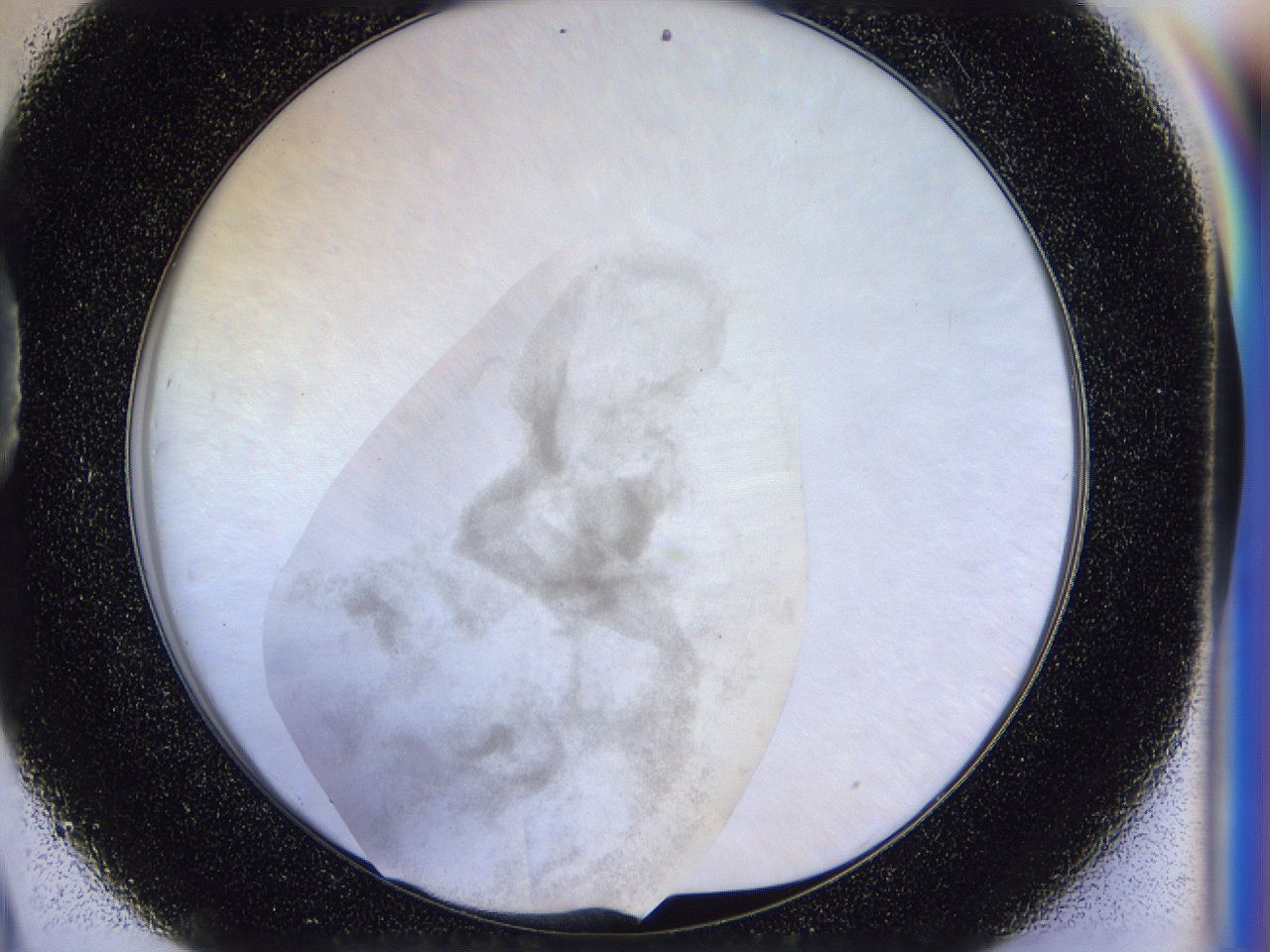 056j_D9_ImagerDefaults_3.jpg