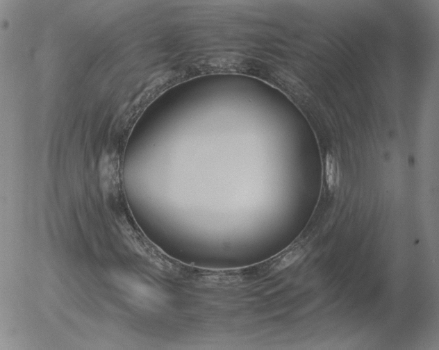 X0000054651107200508091634.png