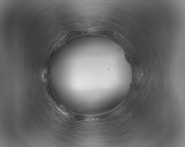 X0000055210760200508301321.png
