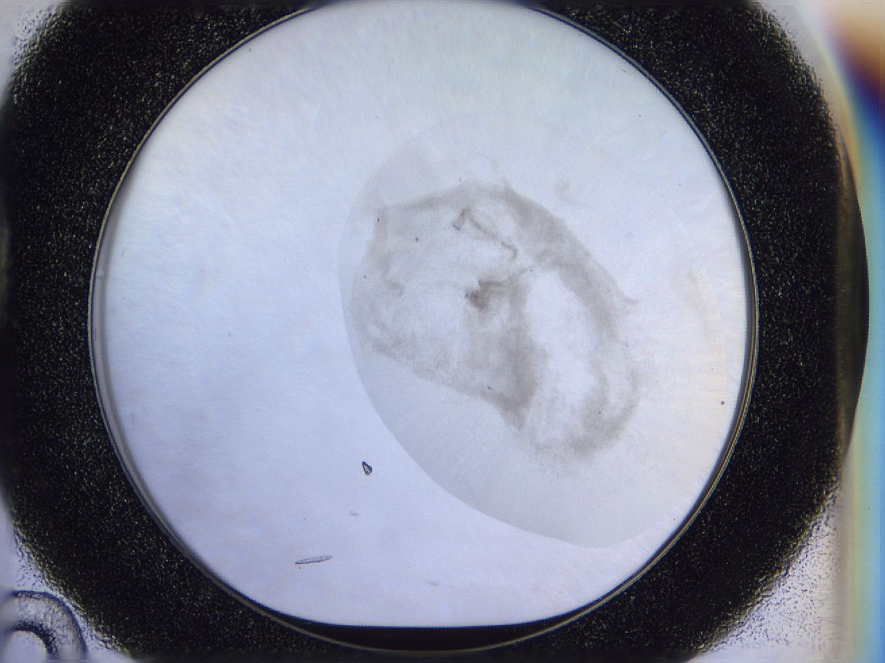 056j_D10_ImagerDefaults_3.jpg