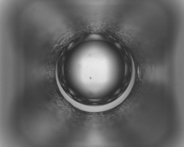 X0000040731107200410201644.png