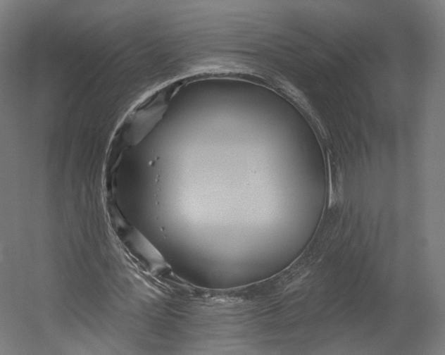 X0000055210387200508301327.png