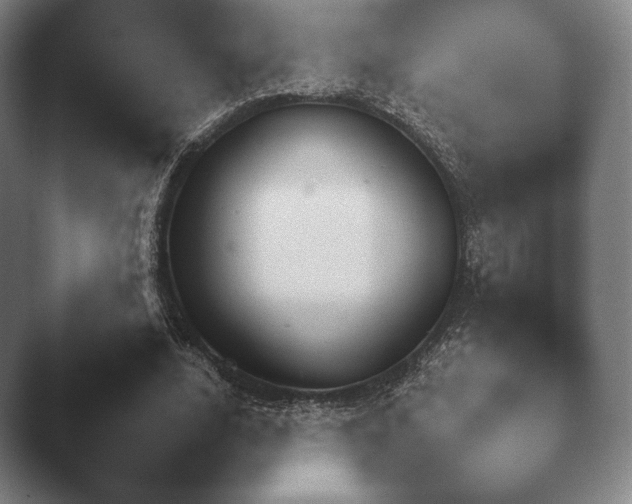 X0000045450632200502011657.png