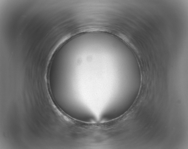 X0000054331189200508111911.png