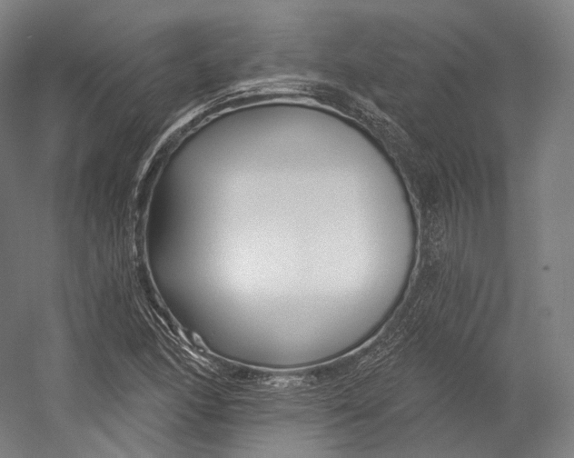 X0000055211166200508301314.png