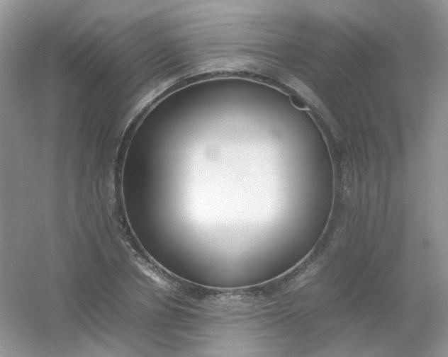 X0000054330834200508111917.png