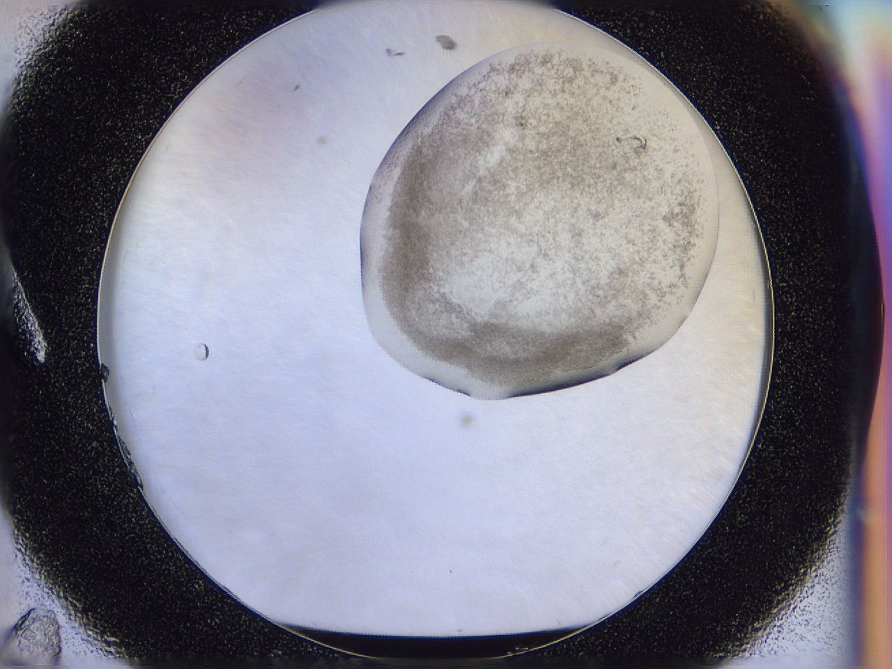 056j_A11_ImagerDefaults_3.jpg