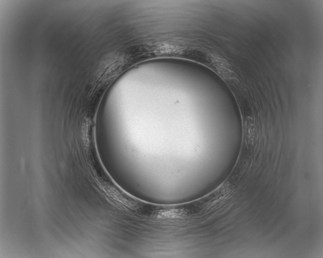 X0000055060550200508161648.png