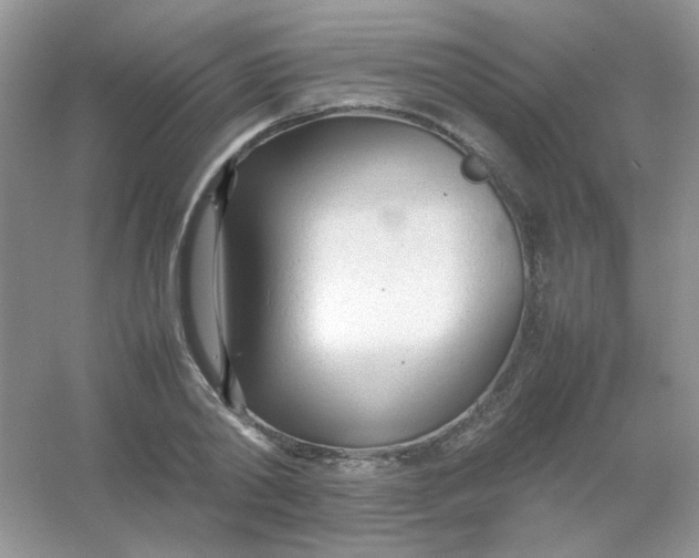 X0000054330790200508111918.png