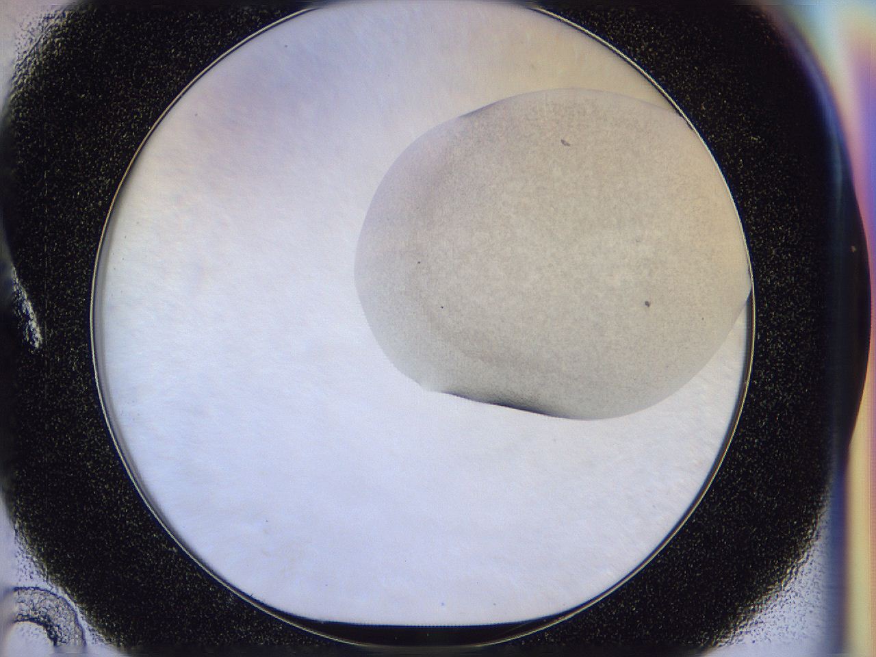 056j_A10_ImagerDefaults_3.jpg