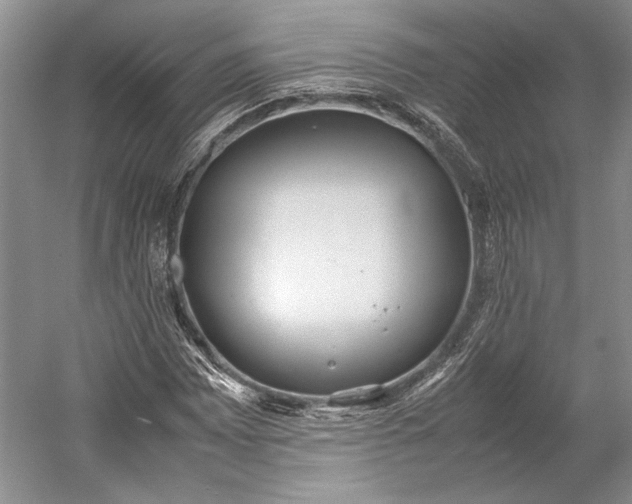 X0000055061065200508161640.png