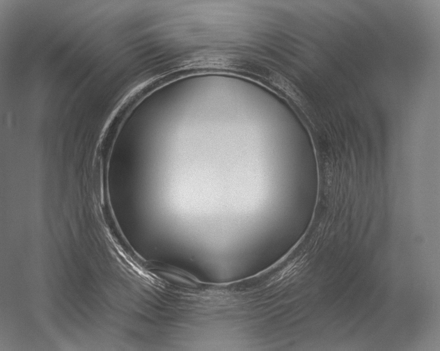 X0000055211123200508301314.png