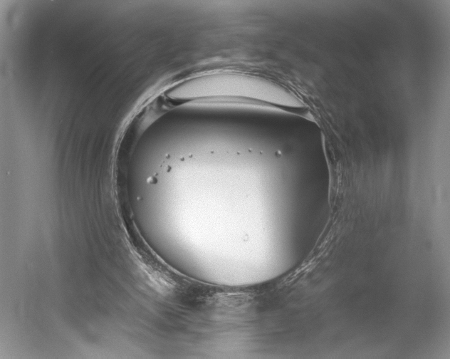 X0000055060150200508161655.png
