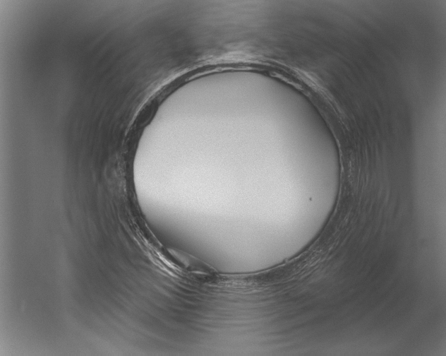 X0000055251356200509071604.png