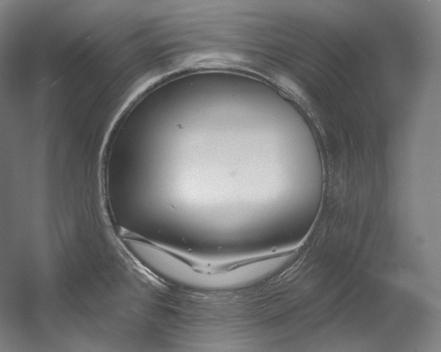 X0000055211384200508301310.png