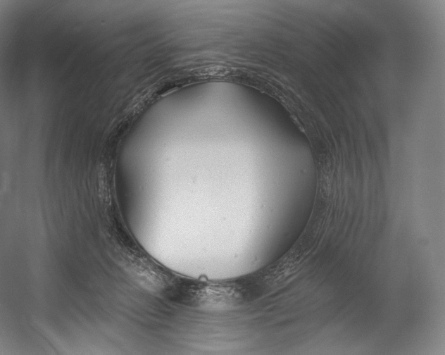 X0000055210270200508301329.png