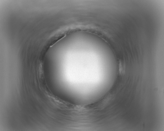 X0000054331492200508111905.png