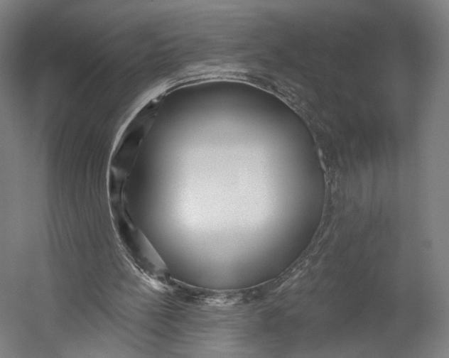 X0000055210148200508301331.png