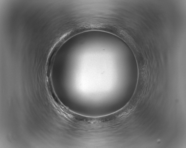 X0000055060395200508161651.png