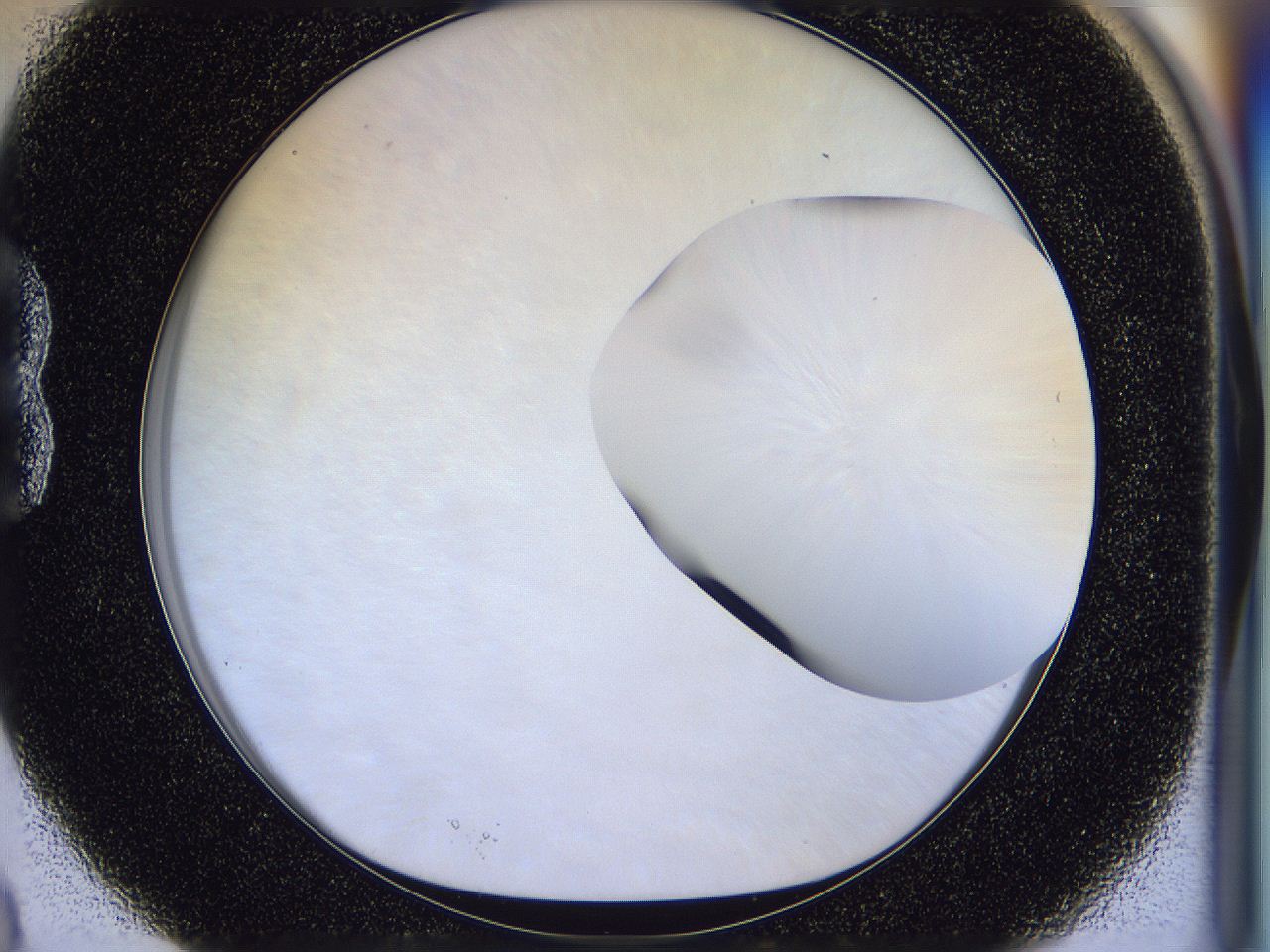 056j_B3_ImagerDefaults_0.jpg