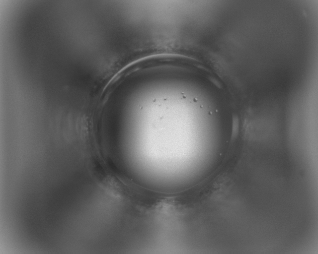 X0000054110211200508022108.png