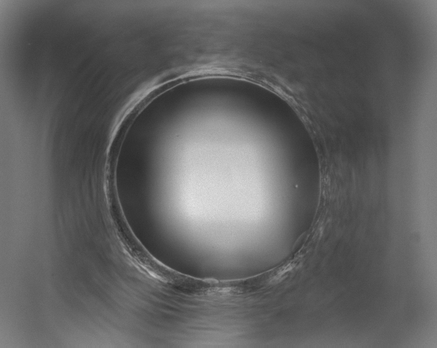 X0000055210152200508301331.png