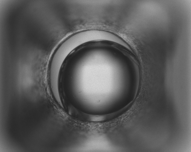 X0000044400912200412290428.png