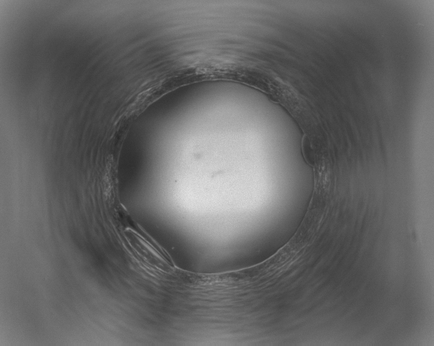 X0000055211012200508301316.png