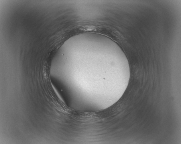 X0000055211442200508301309.png