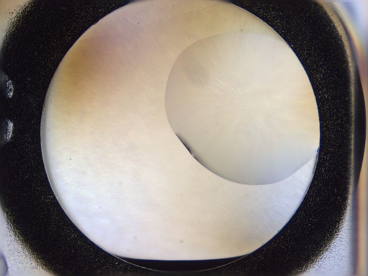 056j_C2_ImagerDefaults_0.jpg