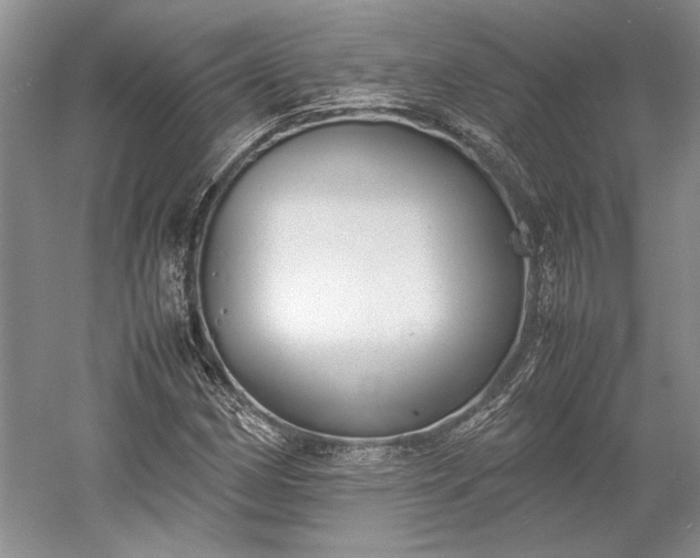 X0000055061162200508161638.png