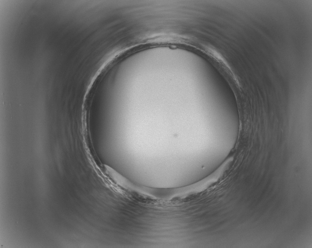 X0000055251376200509071604.png
