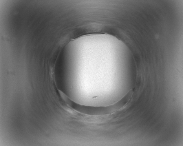 X0000054330045200508111930.png