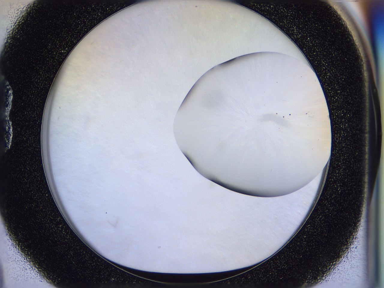 056j_B4_ImagerDefaults_0.jpg