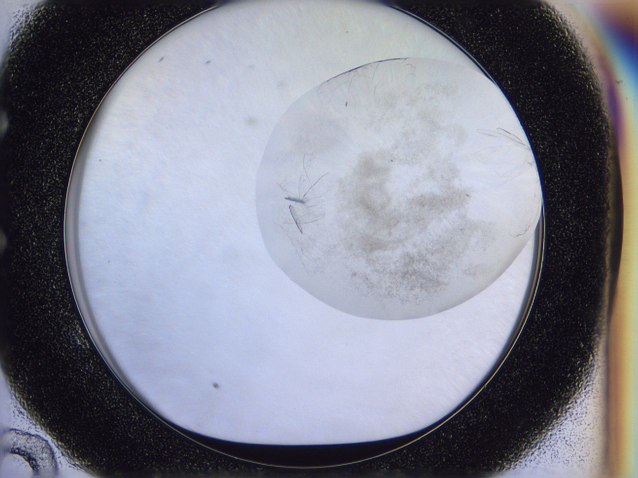056j_E10_ImagerDefaults_8.jpg