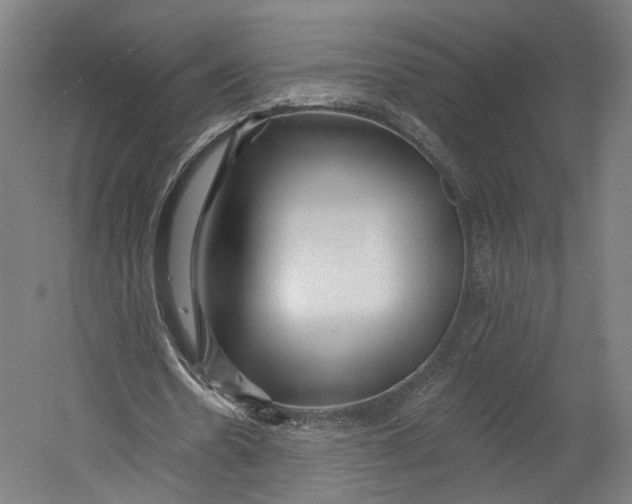 X0000055210530200508301324.png