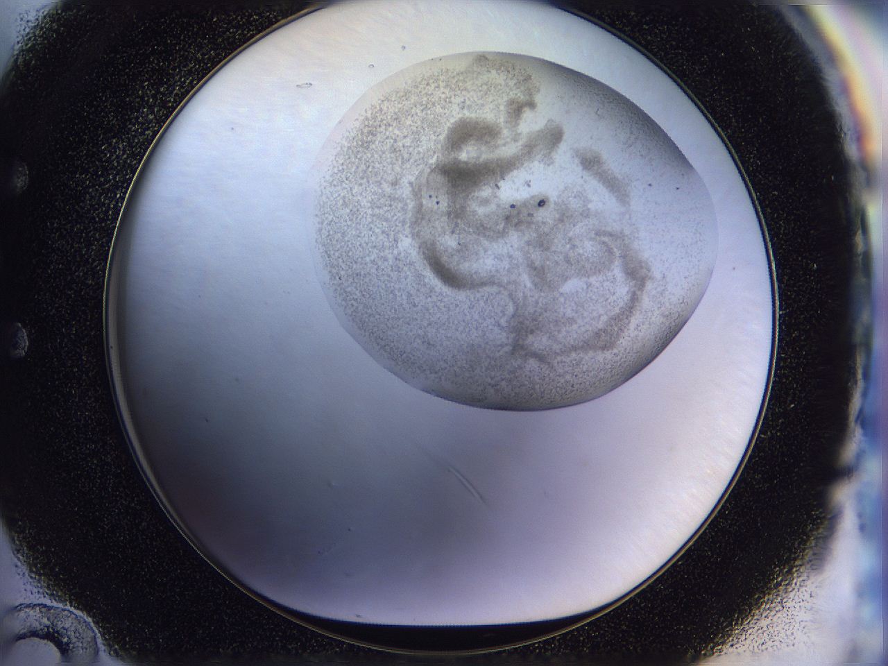 056j_E12_ImagerDefaults_3.jpg